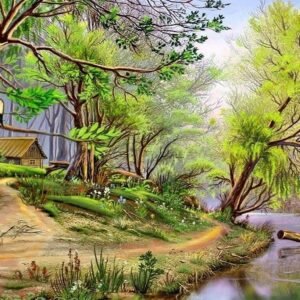 156 - 50x40cm