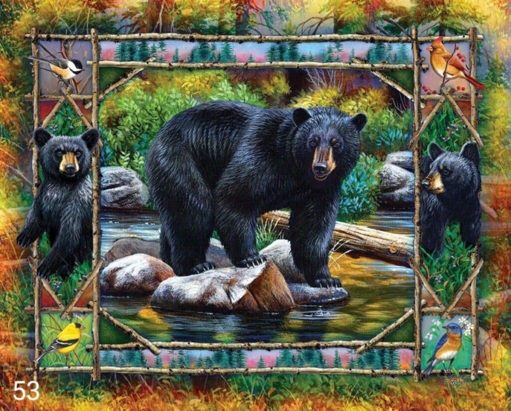 53 - 50x40cm